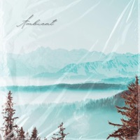 Ambient - Single - Mr Scroop