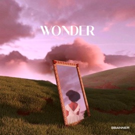 Wonder Bbanner