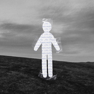Mr. Predictable - Single