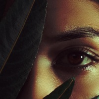 Julieta si Venom (feat. Jere) - Single - Mache