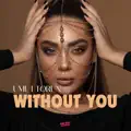 Without You
