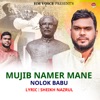 Mujib Namer Mane - Single