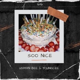 Soo Nice (feat. Youngcee) Usman Bee
