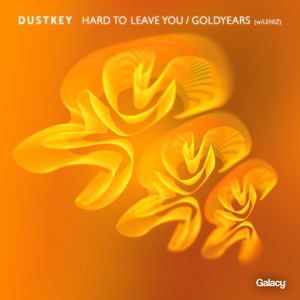Hard to Leave You / Goldyears - Single