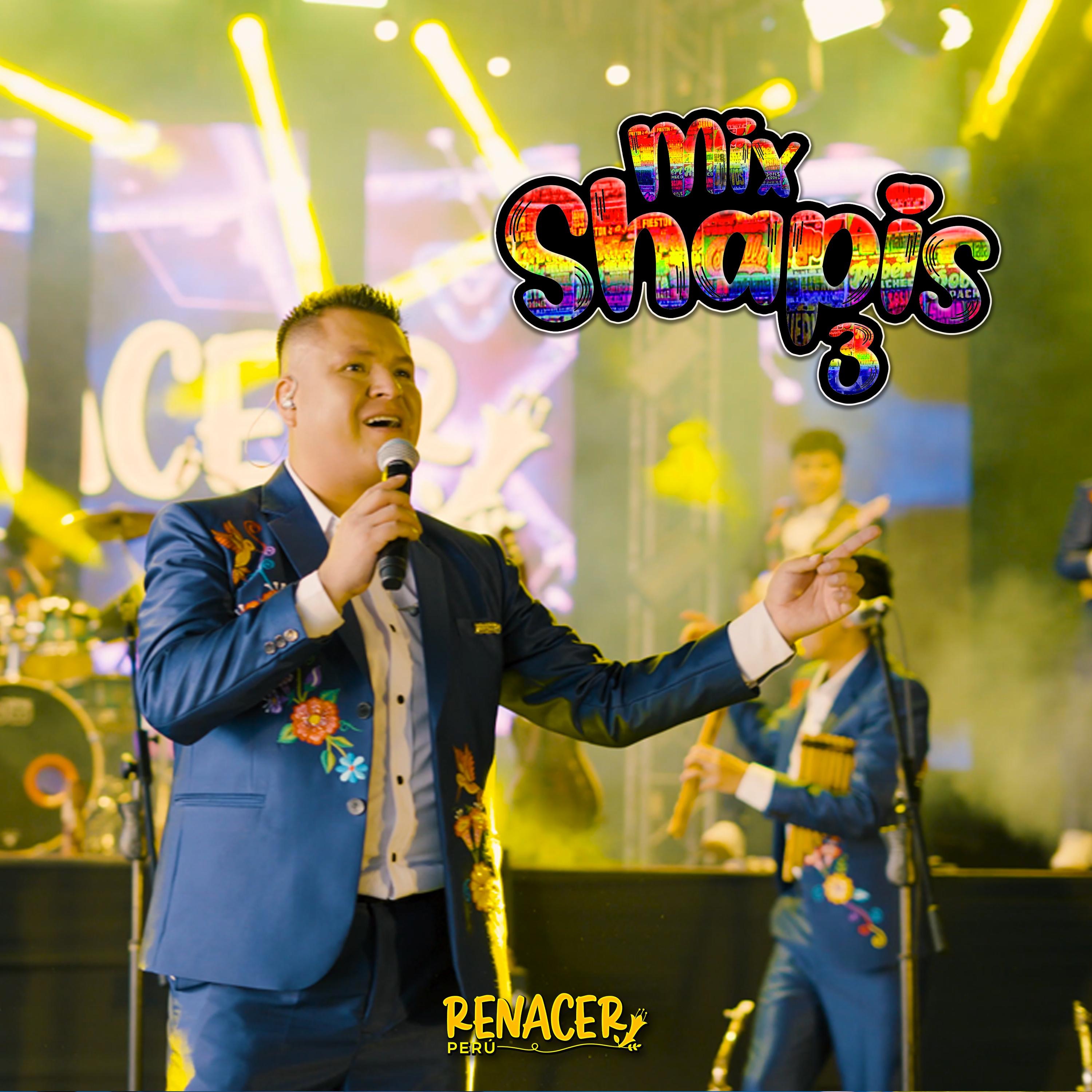 Mix Shapis 3 - Single