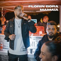 Mamaia - Single - Florin Bora