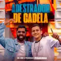 Adestrador De Cadela