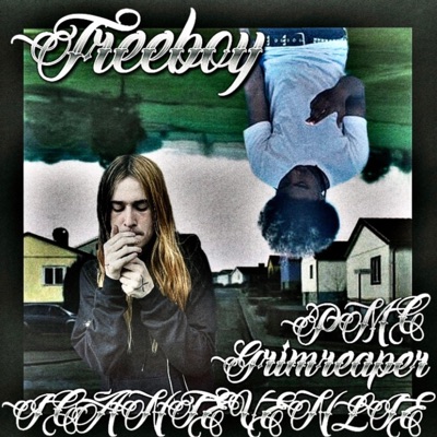 ICANTEVENLIE (feat. TREEBOY) - Single