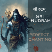 Sri Rudram With Lyrics | Perfect Chanting with Correct Swaras | Rudri Paath | Rudra ashta adhyayi - EP