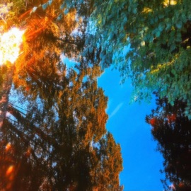 soothing whisper sove & Krynoze