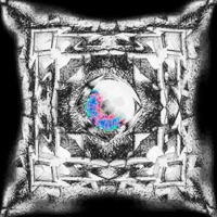 White Dove (feat. H3xtr) - Single - Lixonabolote