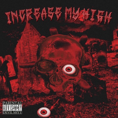 INCREASE MY HIGH - Single