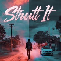 Strutt It - Single - DJTEXX