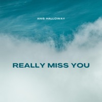 Really Miss You - Single - Anis Halloway