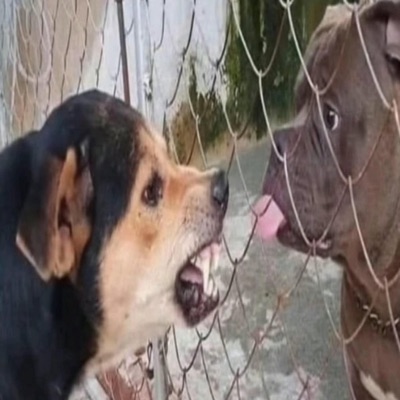 Smile4Me - Fingerin' my pussy (smile4me Remix)