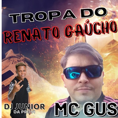 Tropa Do Renato Gaucho (feat. DJ JUNIOR DA PROVI) - Single