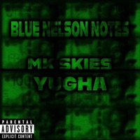 BLUE NELSON NOTES (feat. YUGHA) - Single - MK SKIES