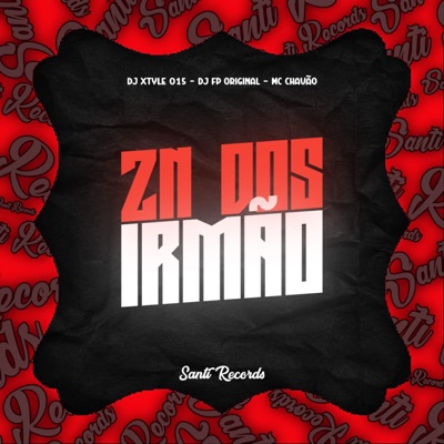 Zn dos Irmão (feat. MC Chavão) - Single