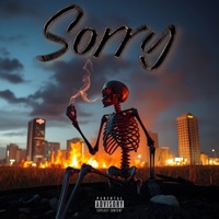 Sorry - Single - KILLSMITTY
