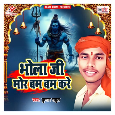 Bhola Ji Mor Bam Bam Kare - Single