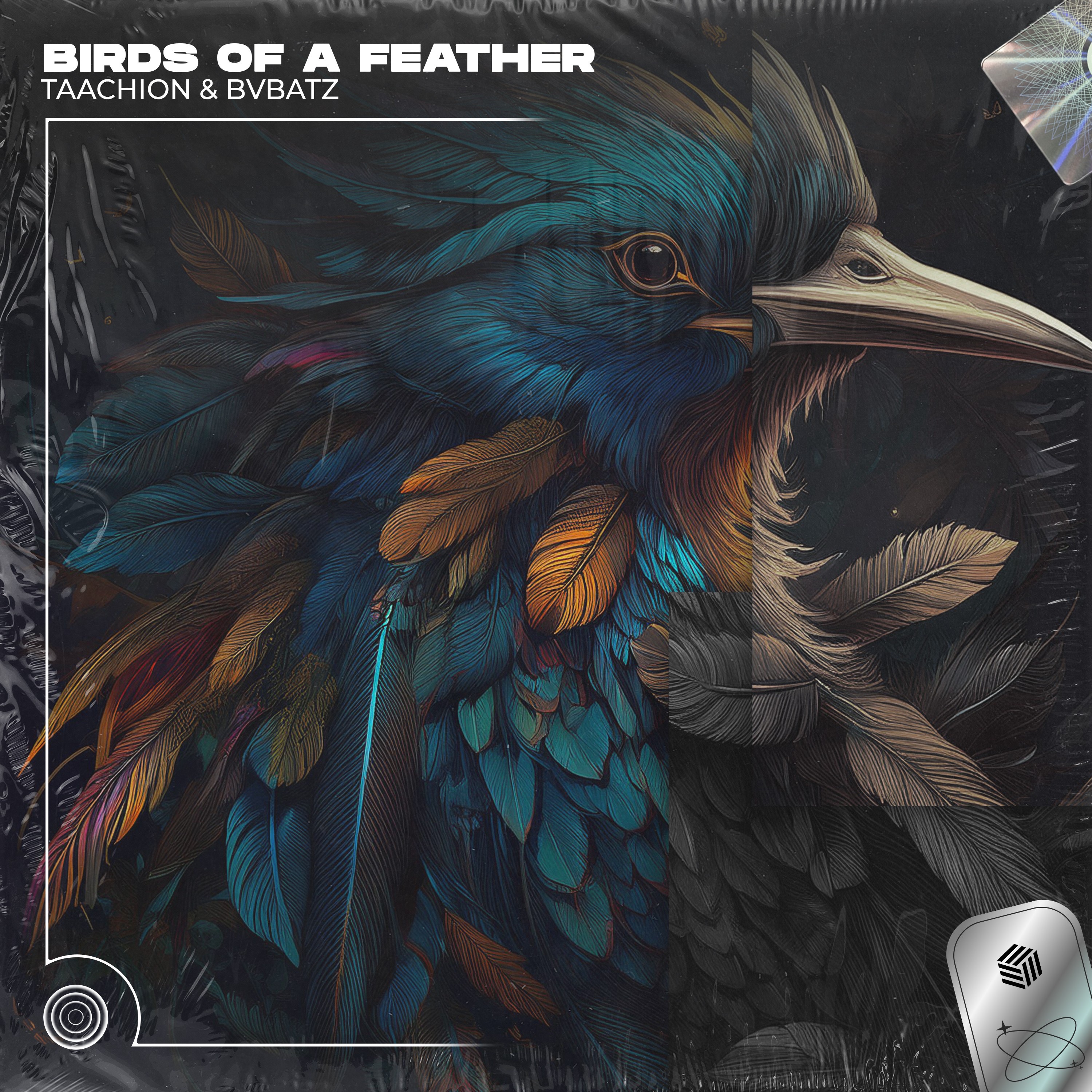 BIRDS OF A FEATHER - Single