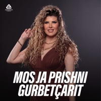 Mos ja prishni gurbetçarit - Single - Leta