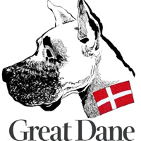 For A Lifetime (feat. Emma Rae) - Single - Steve Hansen aka Great Dane