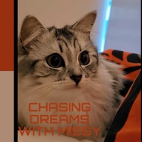 Chasing Dreams with Missy - Single - Julefjollene
