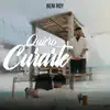 Quiero Curarte