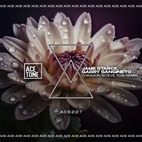 Corazon (Steve Tosi Remix) - Single - Jame Starck & Gabry Sangineto