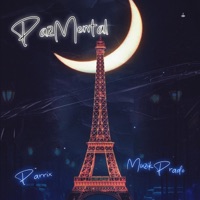 PAZ MENTAL - Single - Parrix
