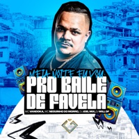 Meia Noite Eu Vou pro Baile de Favela (feat. MC Vandoka) - Single - Mc Neguinho do Morro, Dj Will DF & DJ JOEL MIX