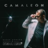 Camaleón