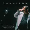 Camaleón