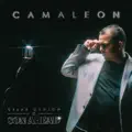 Camaleón