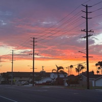 16 Shroom EDM - Single - Gryffin Dior