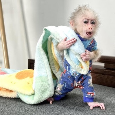 Kawl et kayk - Single