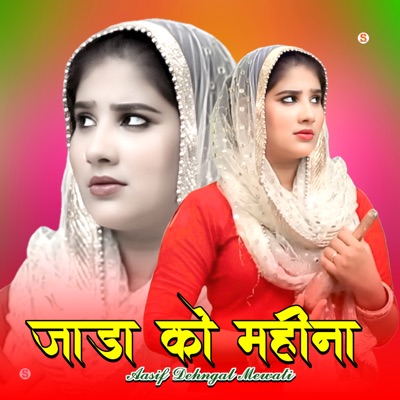 Aasif Dehngal Mewati - Single