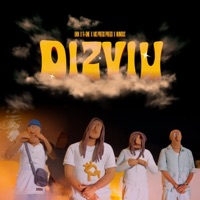 Dizviu (feat. R_One, MC Prego Prego & Nunous) - Single - UKN