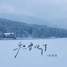 积雪化了 菜圆圆