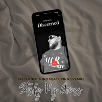 Satisfy My Access (feat. LVEMRE) - Single - Discerned Mind
