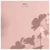 Ziva - Next Chapter