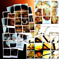 a cog from a Larger Love Machine - EP - Ko6i