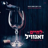 ניגון באבוב artwork