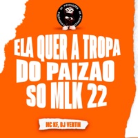 ELA QUER A TROPA DO PAIZÃO SÓ MLK 22 - Single - BK2P, MC KF & DJ Vertin