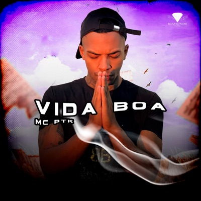 Vida Boa - Single