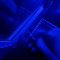 chambleeK - Single - luhhkpp