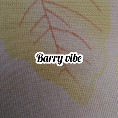 BerryVic - Barry vibe