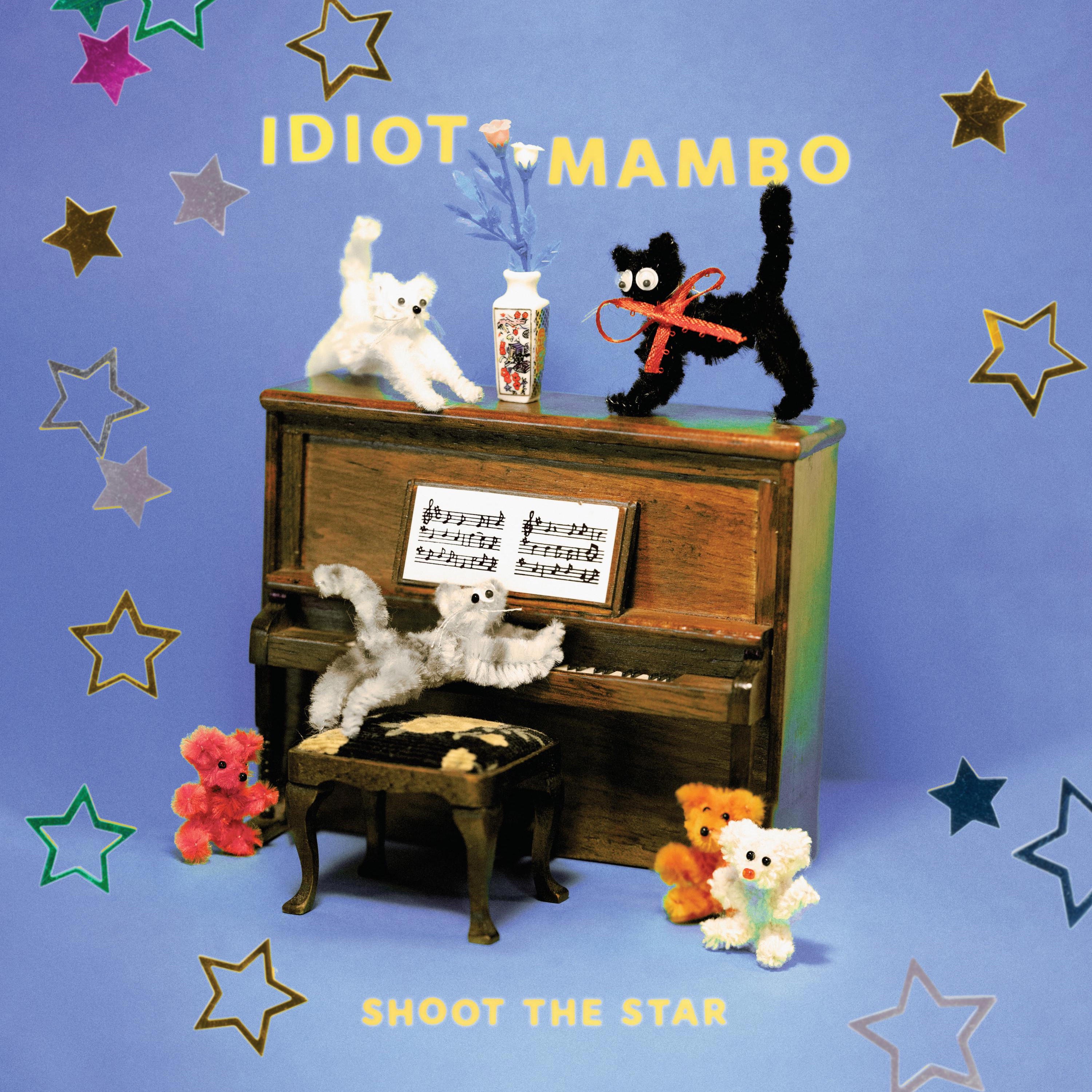 Shoot The Star