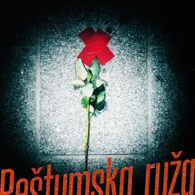 pestumska ruza (baila edit) - Single